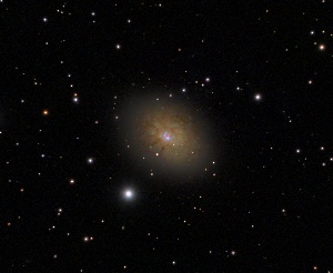NGC3077 - Dwarf Galaxy by Terry Riopka