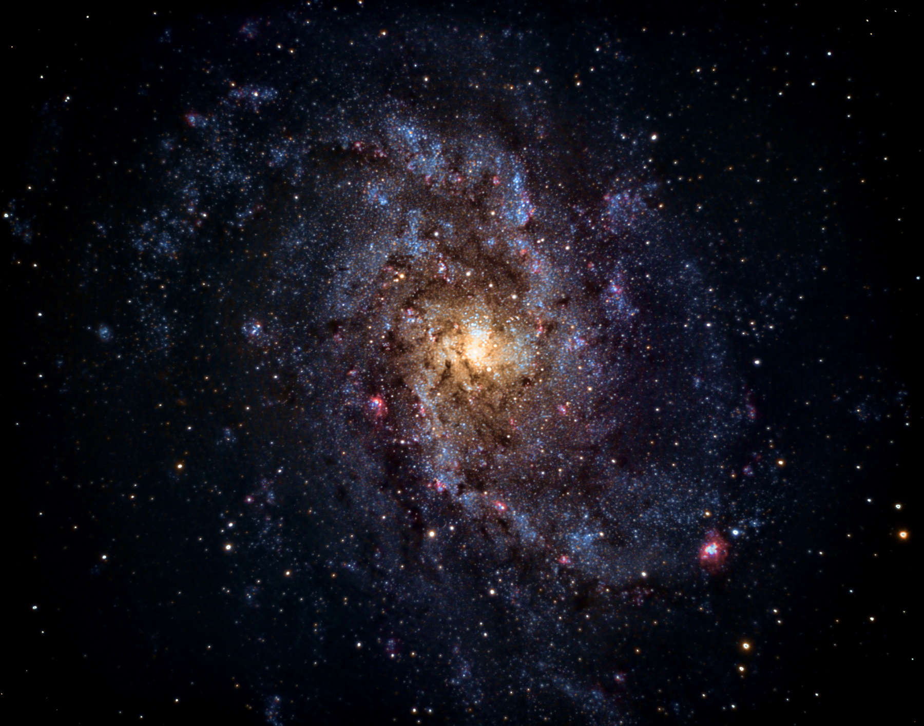 M33 - by Terry Riopka