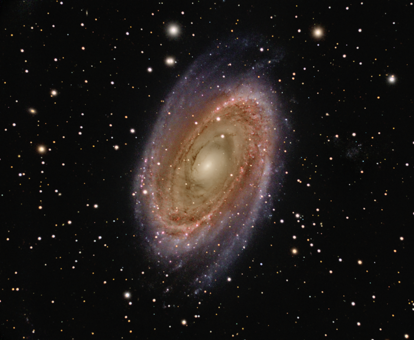 M81 - Bode's Galaxy by Terry Riopka