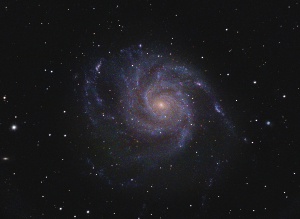 M101 - Pinwheel Galaxy  by Terry Riopka