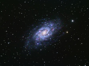 NGC2403 - Caldwell 7  by Terry Riopka