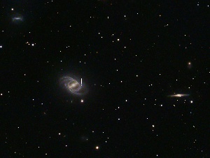 NGC2523 - SN 2024aeee  by Terry Riopka