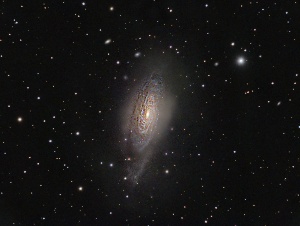 NGC3521 - Bu le Galaxy  by Terry Riopka