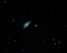 NGC4490 - C c n Galaxy  by Terry Riopka