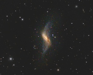 NGC660 - P lar Ring Galaxy  by Terry Riopka