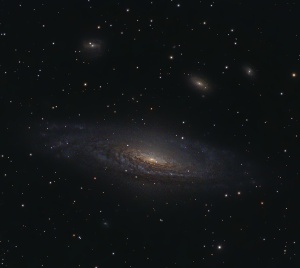 NGC7331 - Caldwell 30  by Terry Riopka