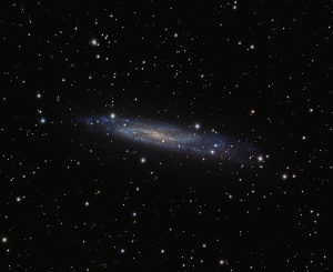 NGC7640 - Barred Spiral Galaxy  by Terry Riopka