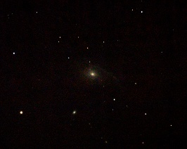 NGC772 - Fiddlehead Galaxy  by Terry Riopka