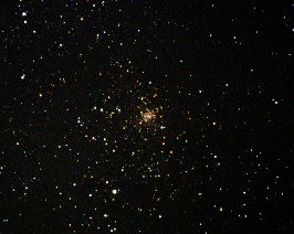 NGC6544 - Starfish Cluster  by Terry Riopka