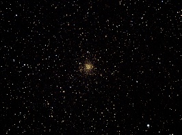 NGC6760 - NA by Terry Riopka