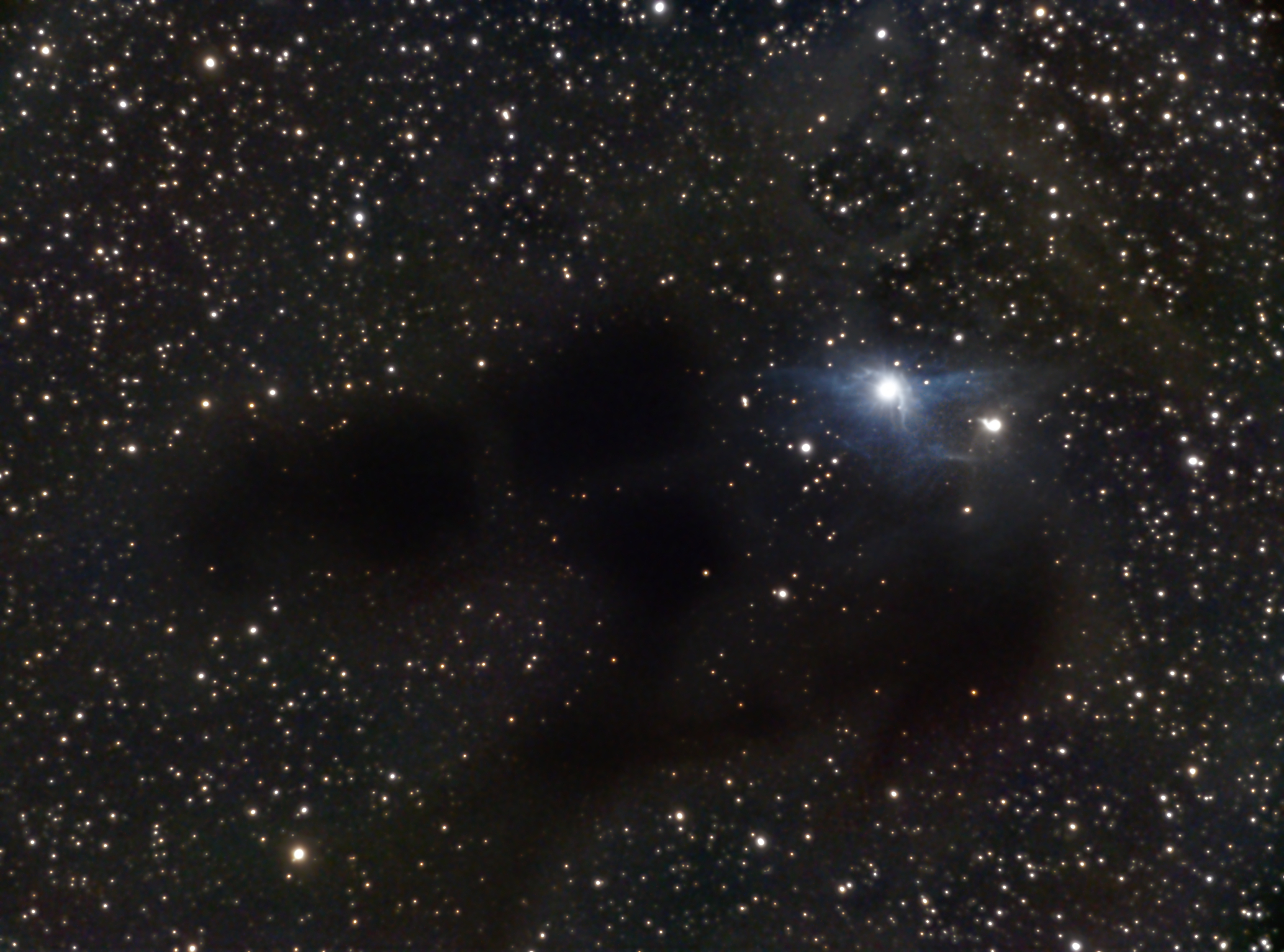 B26,B27,B28,vdB31 - Dark Nebulae  by Terry Riopka