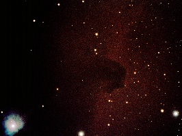 IC434 - Horsehead Nebula  by Terry Riopka