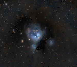 IC5134 - NGC7129 by Terry Riopka