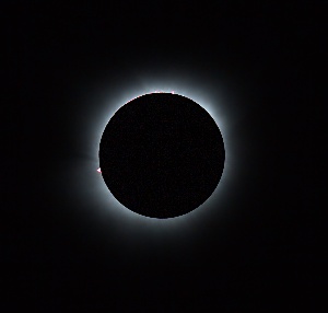 Corona-and-Prominences - NA by Terry Riopka