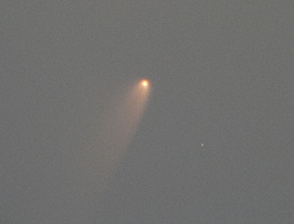 C2011-L4 - Comet Panstarrs  by Terry Riopka